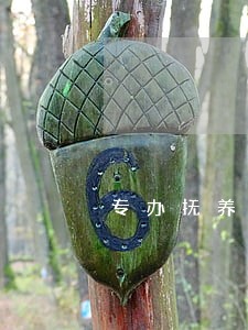 专办抚养权纠纷律师大概怎么收费 专办抚养权纠纷律师大概怎么收费