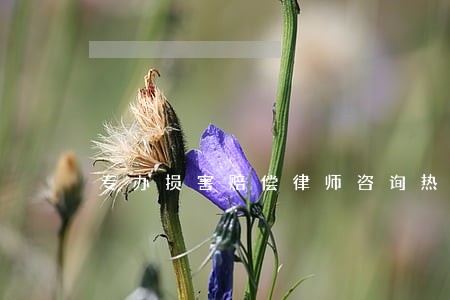 专办损害赔偿律师咨询热线 专办损害赔偿律师咨询热线