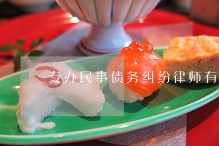 专办民事债务纠纷律师有哪些 专办民事债务纠纷律师有哪些