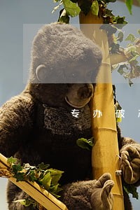 专办破产清算业务律师 专办破产清算业务律师