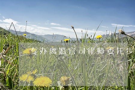 专办离婚官司律师委托步骤 专办离婚官司律师委托步骤
