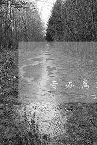 专办离婚律师团 专办离婚律师团