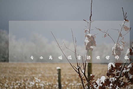专办离婚损害赔偿律师微信咨询 专办离婚损害赔偿律师微信咨询