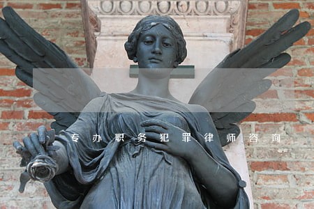 专办职务犯罪律师咨询 专办职务犯罪律师咨询