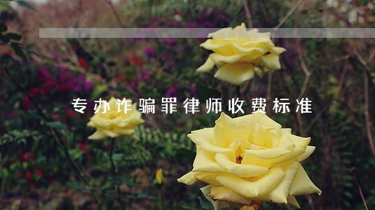 专办诈骗罪律师收费标准