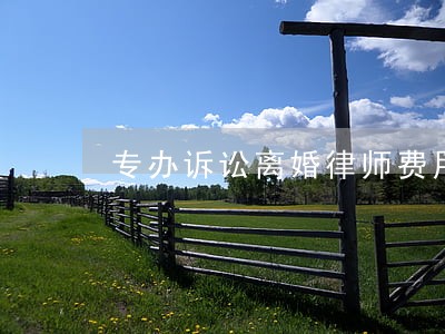 专办诉讼离婚律师费用多少 专办诉讼离婚律师费用多少