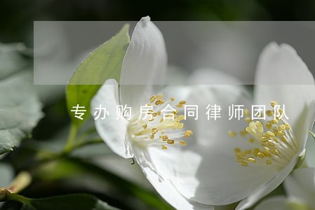 专办购房合同律师团队 专办购房合同律师团队