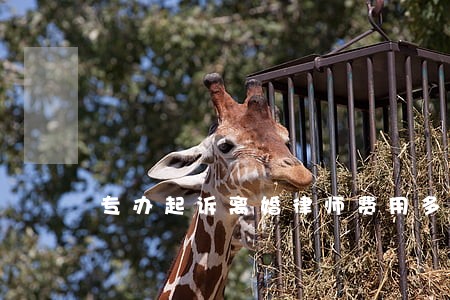 专办起诉离婚律师费用多少 专办起诉离婚律师费用多少