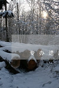 专办遗产继承律师出庭收费 专办遗产继承律师出庭收费