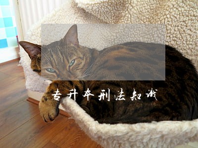专升本刑法知识 专升本刑法知识