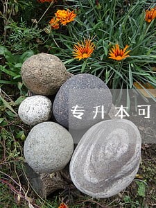 专升本可以考法院吗 专升本可以考法院吗