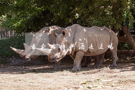 专卖店特供酒违法吗 专卖店特供酒违法吗