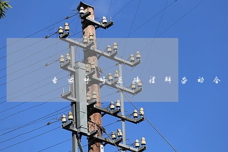 专家呼吁正确理解劳动合同法 专家呼吁正确理解劳动合同法