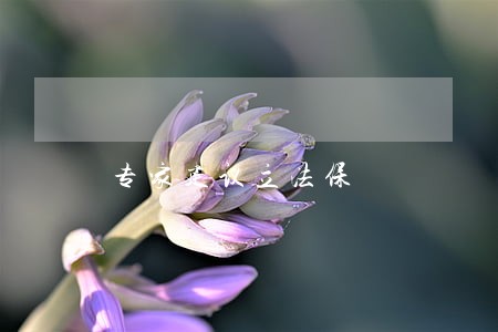 专家建议立法保 专家建议立法保