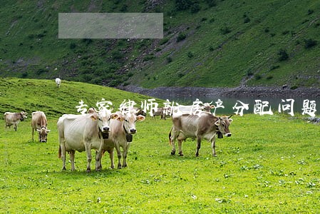 专家律师就房产分配问题给出建议 专家律师就房产分配问题给出建议