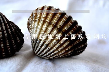 专家提醒网上售购卷烟均违法