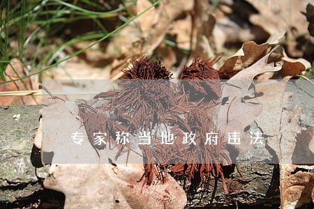 专家称当地政府违法 专家称当地政府违法
