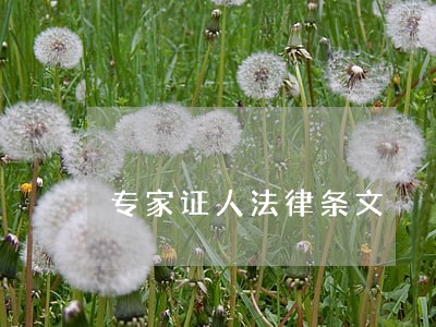 专家证人法律条文 专家证人法律条文