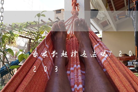 专家费超标违法吗/2023020411203 专家费超标违法吗/2023020411203