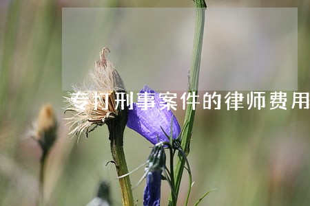 专打刑事案件的律师费用 专打刑事案件的律师费用