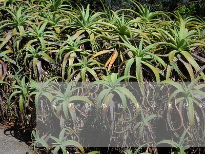 专打徇私枉法罪案件的律师哪个好 专打徇私枉法罪案件的律师哪个好