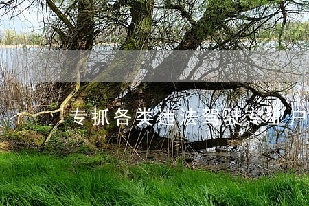 专抓各类违法驾驶专业户 专抓各类违法驾驶专业户
