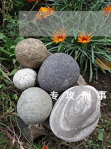专攻刑事案件律师哪个好 专攻刑事案件律师哪个好