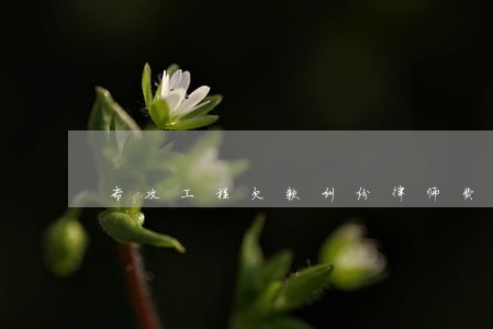 专攻工程欠款纠纷律师费用标准 专攻工程欠款纠纷律师费用标准