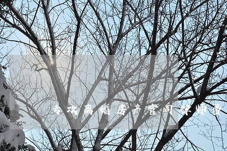 专攻离婚房产官司律师费用 专攻离婚房产官司律师费用
