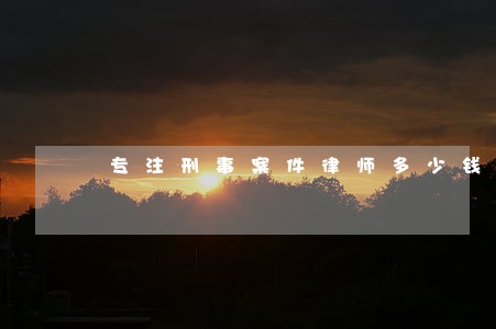 专注刑事案件律师多少钱 专注刑事案件律师多少钱