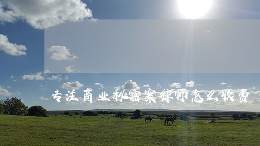 专注商业秘密案律师怎么收费 专注商业秘密案律师怎么收费