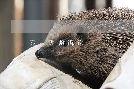 专注理赔诉讼 专注理赔诉讼