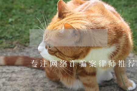 专注网络诈骗案律师推荐 专注网络诈骗案律师推荐