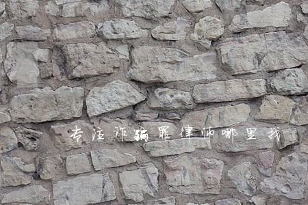 专注诈骗罪律师哪里找 专注诈骗罪律师哪里找