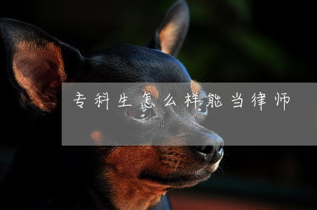 专科生怎么样能当律师 专科生怎么样能当律师