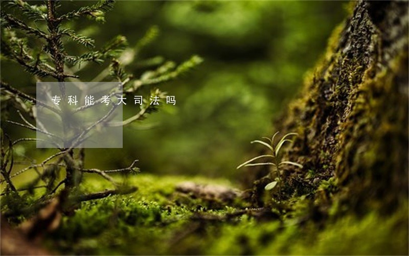 专科能考大司法吗 专科能考大司法吗