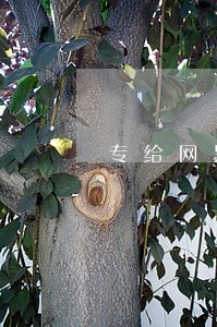 专给网黑有逾期办贷款的中介 专给网黑有逾期办贷款的中介