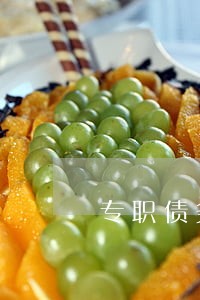 专职债务担保律师 专职债务担保律师