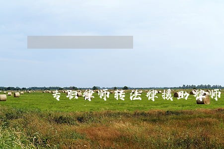 专职律师转法律援助律师 专职律师转法律援助律师