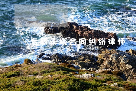专职承揽合同纠纷律师
