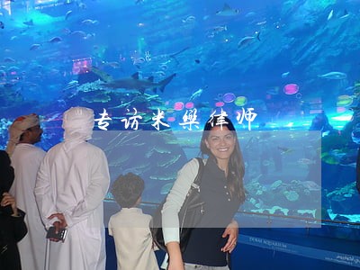 专访米乐律师 专访米乐律师