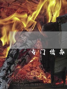 专门债务纠纷律师 专门债务纠纷律师