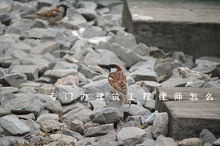 专门办建筑工程律师怎么委托