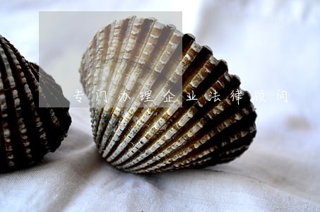 专门办理企业法律顾问 专门办理企业法律顾问