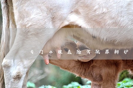 专门办理危险驾驶罪辩护律师收费 专门办理危险驾驶罪辩护律师收费