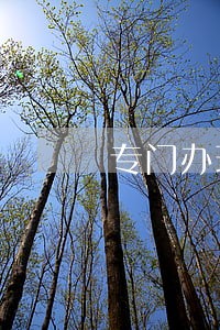 专门办理合同律师大概多少钱