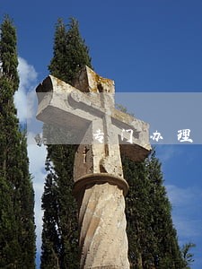 专门办理商铺合同纠纷律师有哪些 专门办理商铺合同纠纷律师有哪些
