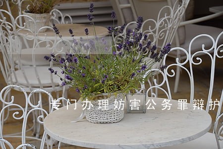 专门办理妨害公务罪辩护律师团 专门办理妨害公务罪辩护律师团
