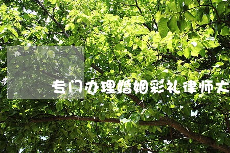专门办理婚姻彩礼律师大概多少钱