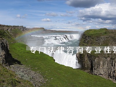 专门法律咨询专业性强 专门法律咨询专业性强